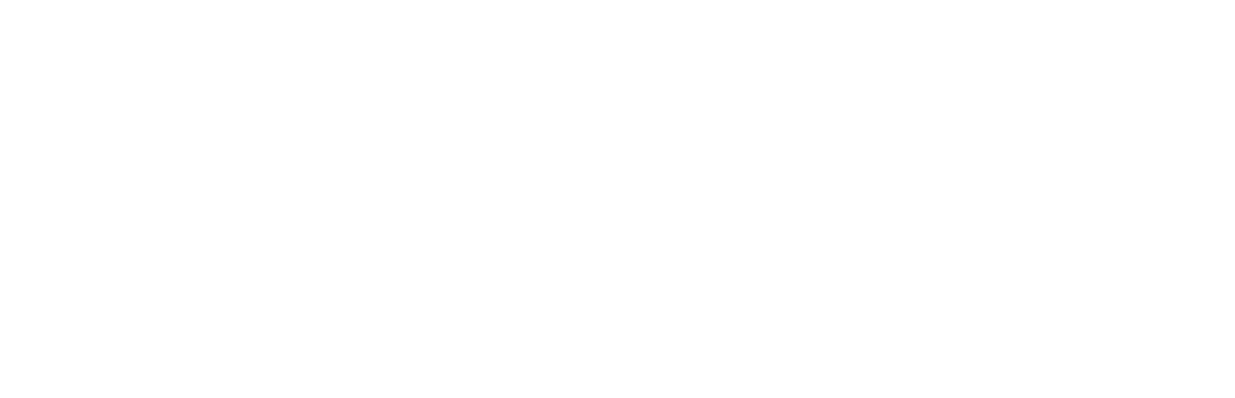 logo-zebra